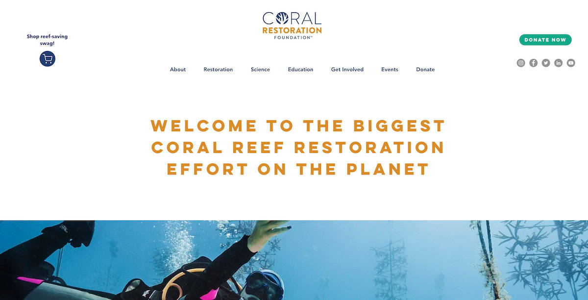 Coral Restoration Foundation