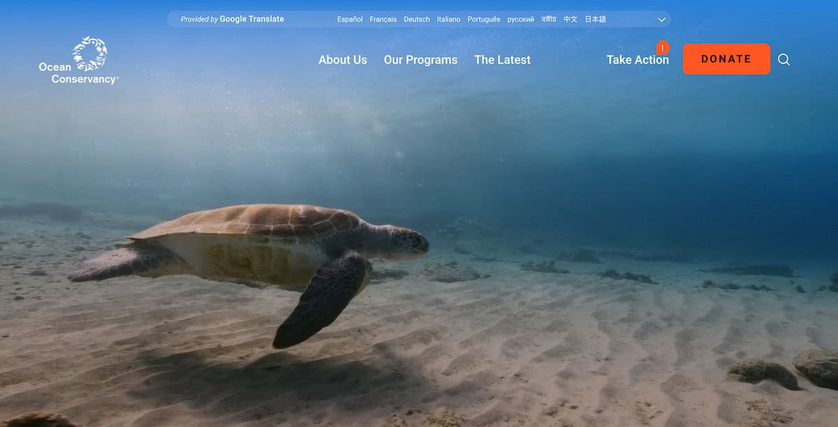 Ocean Conservancy - Ocean Conservation Charities