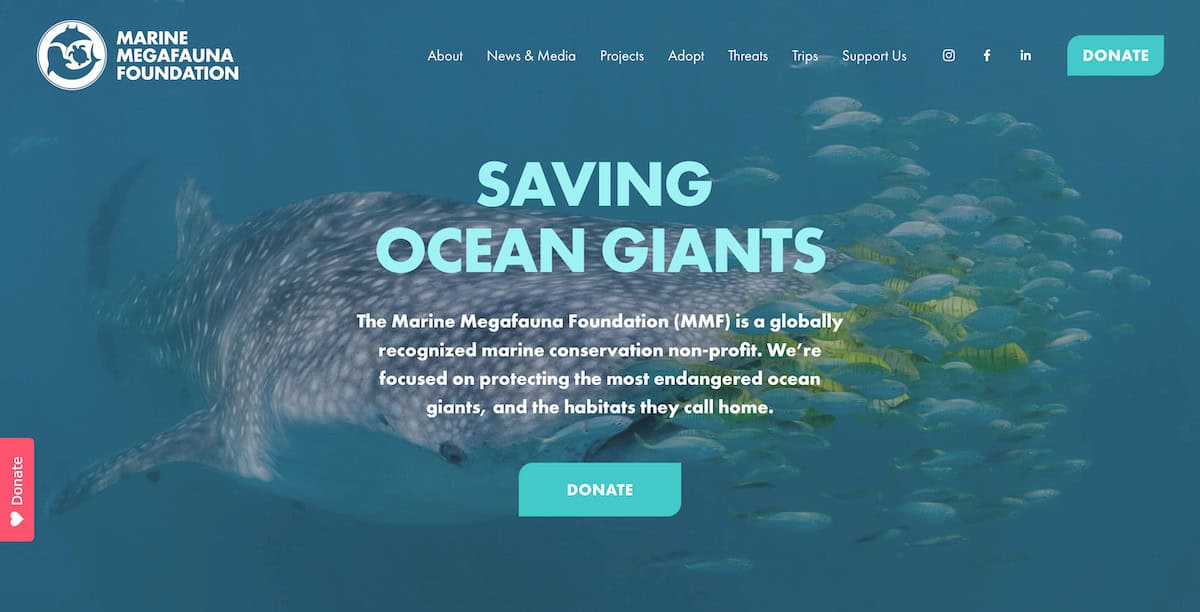 Marine Megafauna Foundation