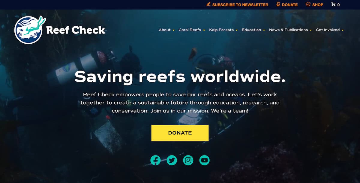 15 Inspiring Ocean Conservation Charities | Charity Charge