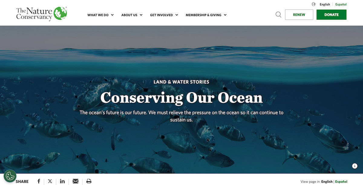 The Nature Conservancy’s Ocean Program