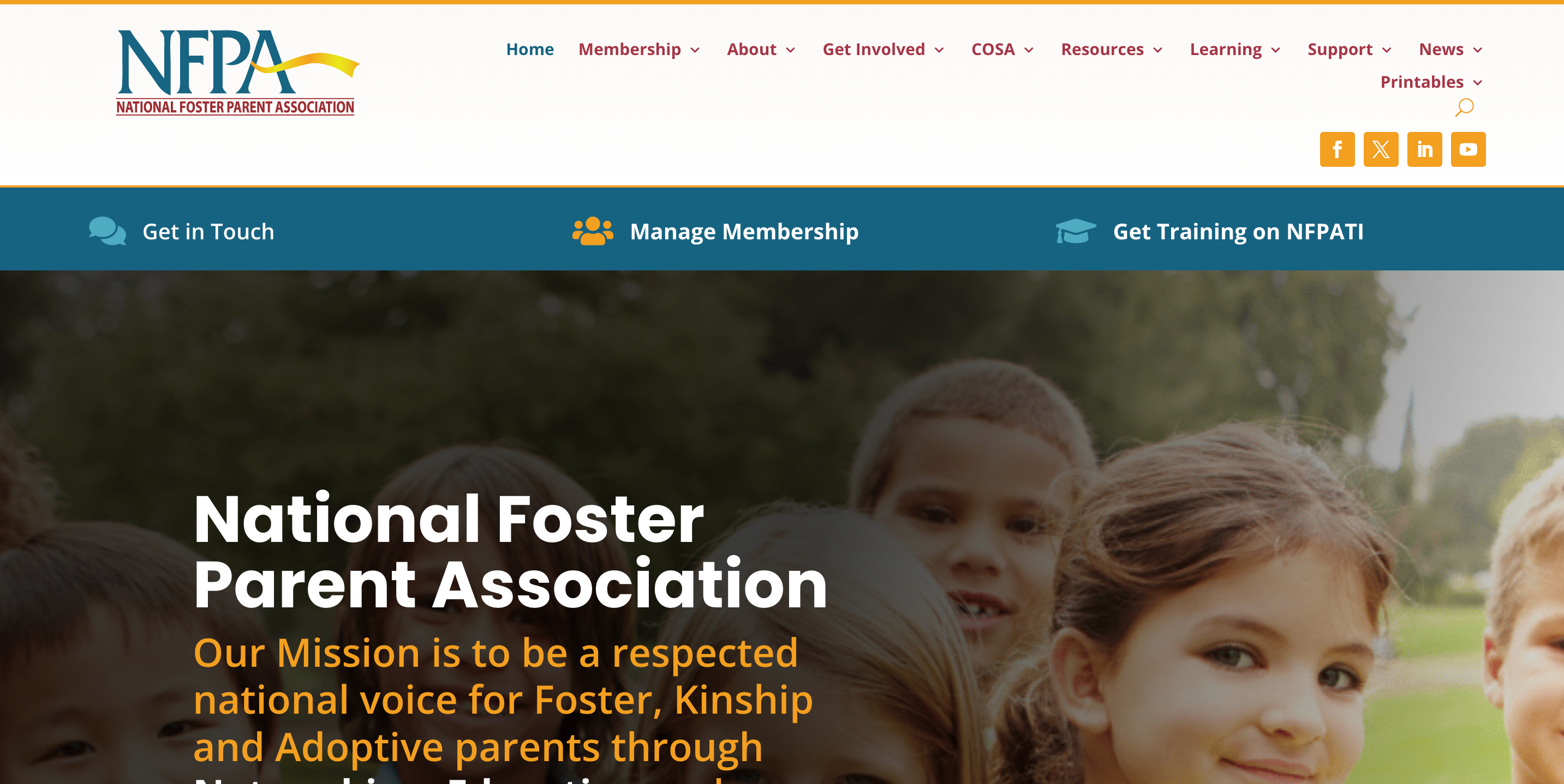 National Foster Parent Association