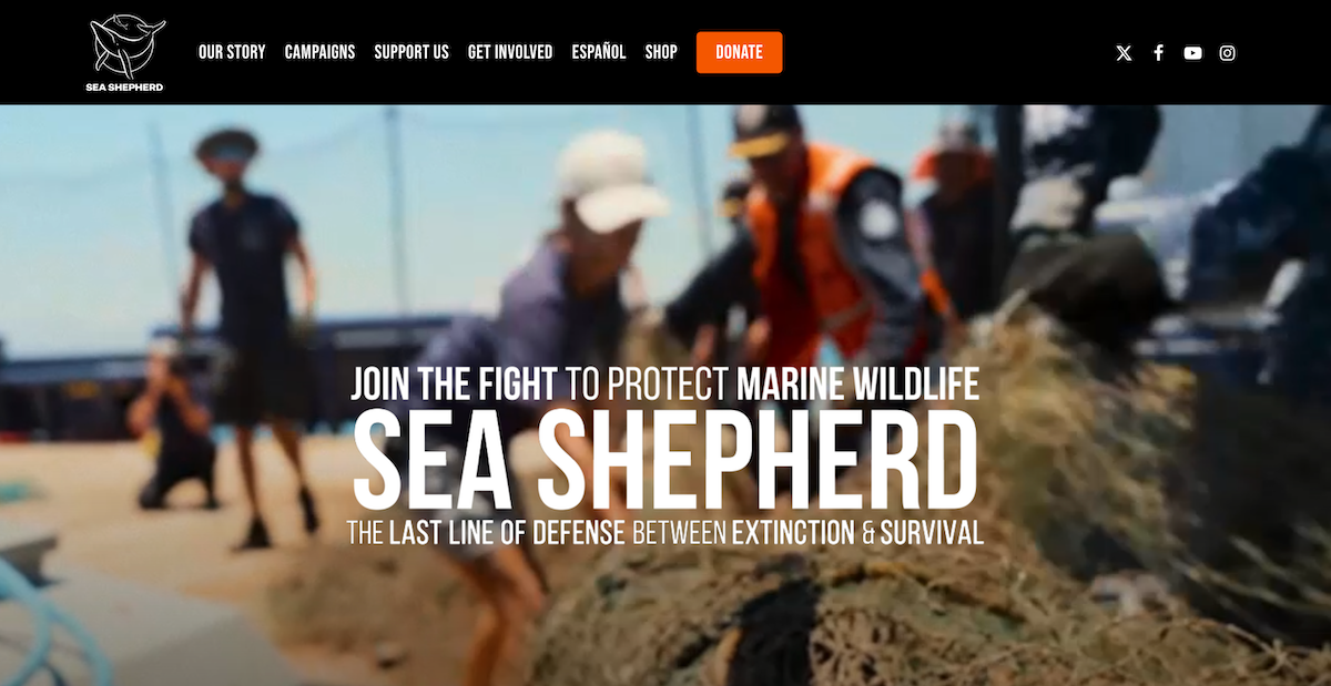 Sea-Shepherd-Conservation-Society