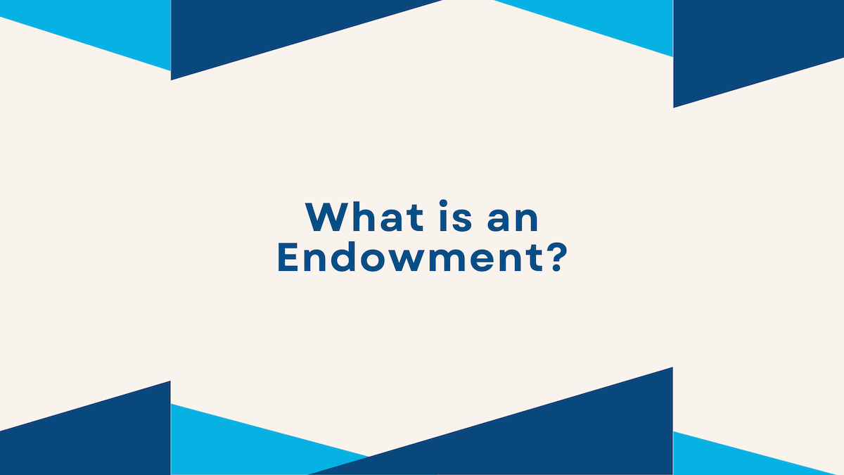 What is an Endowment?