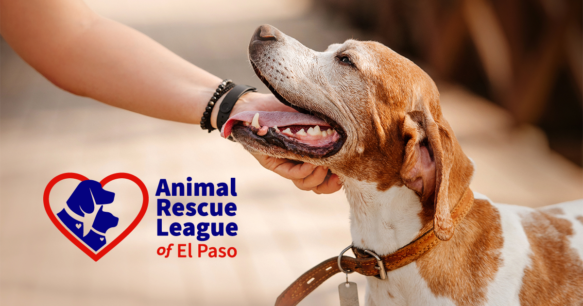 animal rescue league of el paso