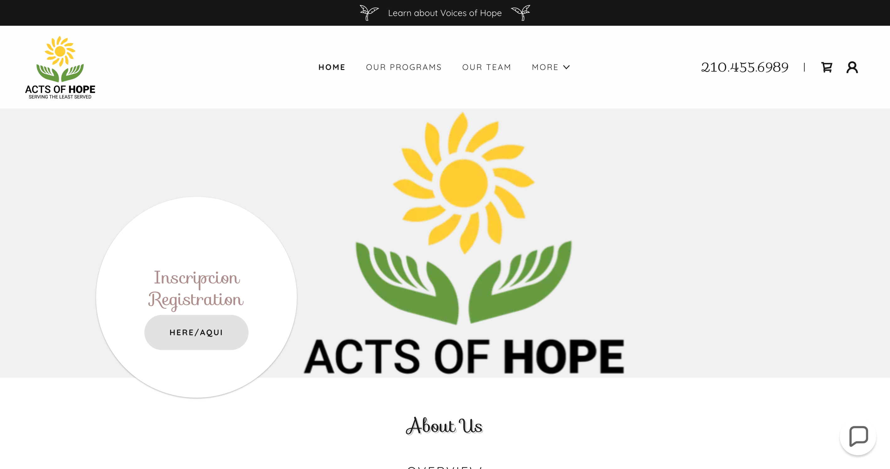 Acts-of-Hope-Hope-Help-Nonprofit